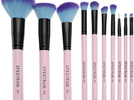 Spectrum Collections 10 Piece Pink Essential Brush Set on Sale